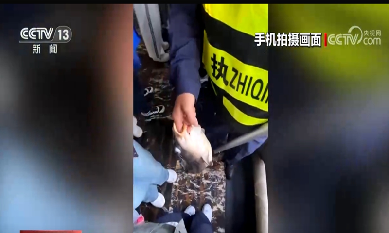 A screenshot from the CCTV showing a security guard holding a chubby carp and persuading tourists not to feed the fish food.