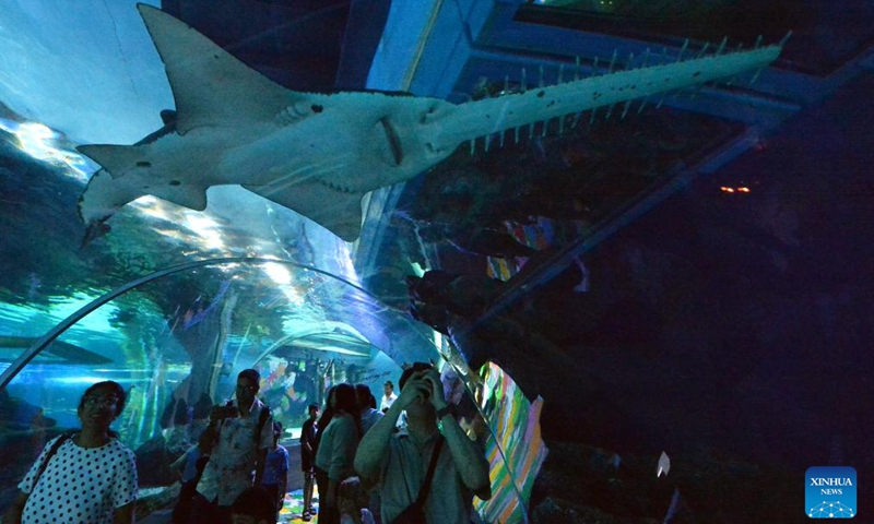 People visit the Bangkok Sea Life Ocean World aquarium in Bangkok, Thailand, Oct. 9, 2024. (Photo: Xinhua)