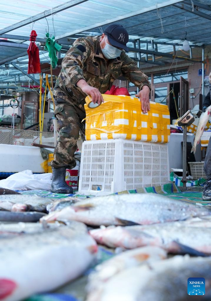 A fishmonger packs fish products about to be shipped at Dongji fish market in Fuyuan City, northeast China's Heilongjiang Province, Oct. 11, 2024. (Photo: Xinhua)