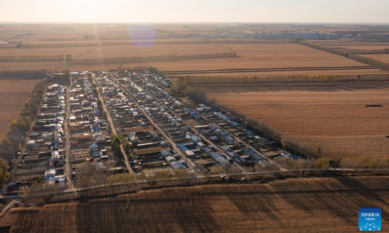 An aerial drone photo taken on Oct. 11, 2024 shows fields and villages in Dongsheng Village, Zhaodong City of northeast China's Heilongjiang Province. (Photo: Xinhua)