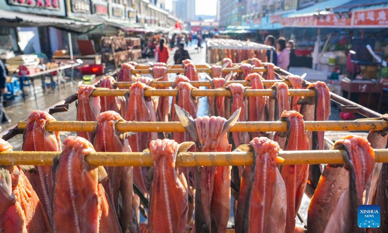 Fish products are pictured at Dongji fish market in Fuyuan City, northeast China's Heilongjiang Province, Oct. 11, 2024. (Photo: Xinhua)