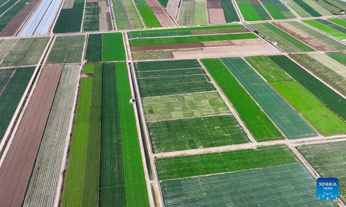 An aerial drone photo taken on Sept. 23, 2024 shows farms in northwest China's Ningxia Hui Autonomous Region. (Photo: Xinhua)