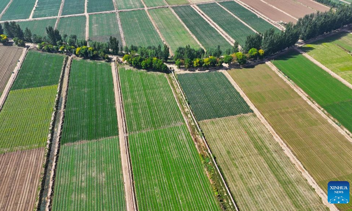 An aerial drone photo taken on Sept. 23, 2024 shows farms in northwest China's Ningxia Hui Autonomous Region. (Photo: Xinhua)