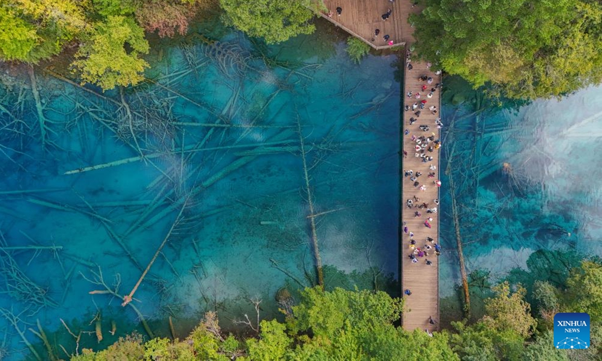 This aerial photo taken on Oct. 10, 2024 shows an autumn view of a lake in Jiuzhaigou scenic spot in southwest China's Sichuan Province. (Photo: Xinhua)