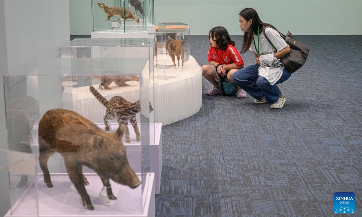 People visit the Guarding Rainforest Homeland exhibition in Haikou, south China's Hainan Province, Oct. 13, 2024. The Guarding Rainforest Homeland exhibition has been held by the management office of the National Park of Hainan Tropical Rainforest in Haikou. Featuring animal specimens, photographs and videos, the exhibition showcases the beauty of rainforest and introduces the construction process of the National Park of Hainan Tropical Rainforest. (Photo: Xinhua)