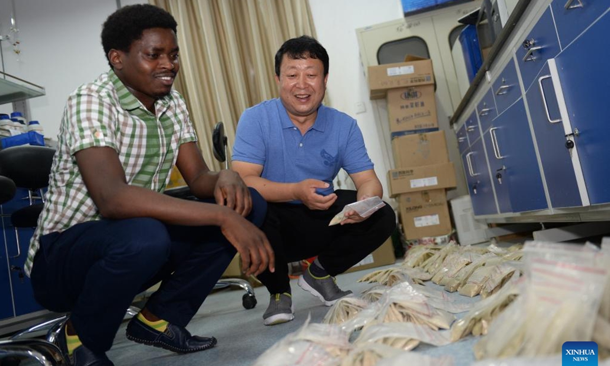 This file photo taken on Sept. 3, 2018 shows Hai Jiangbo talking with Rwandan student Efienne Niyigabas at the College of Agronomy, Northwest Agriculture and Forestry University in Yangling, northwest China's Shaanxi Province. (Photo: Xinhua)