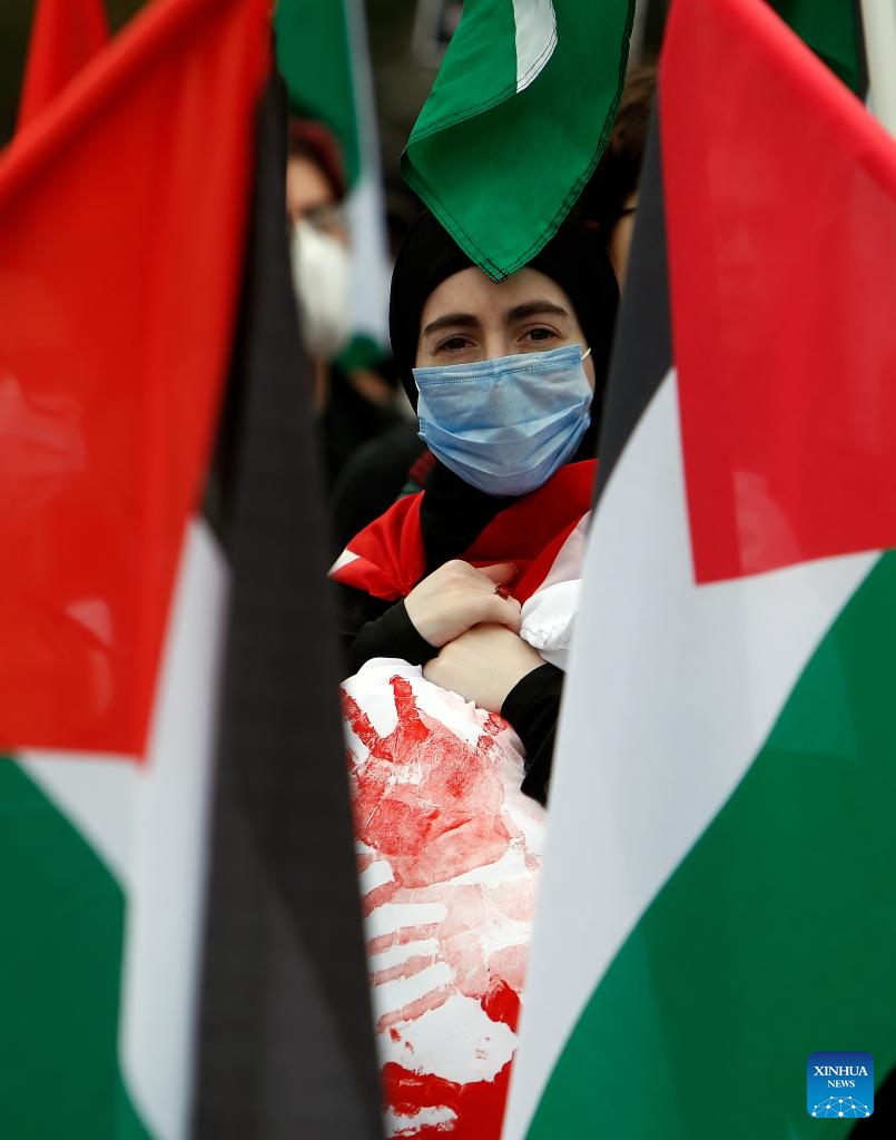 A woman attends a rally in support of Palestine and Lebanon in Bucharest, Romania, Oct. 12, 2024. (Photo: Xinhua)