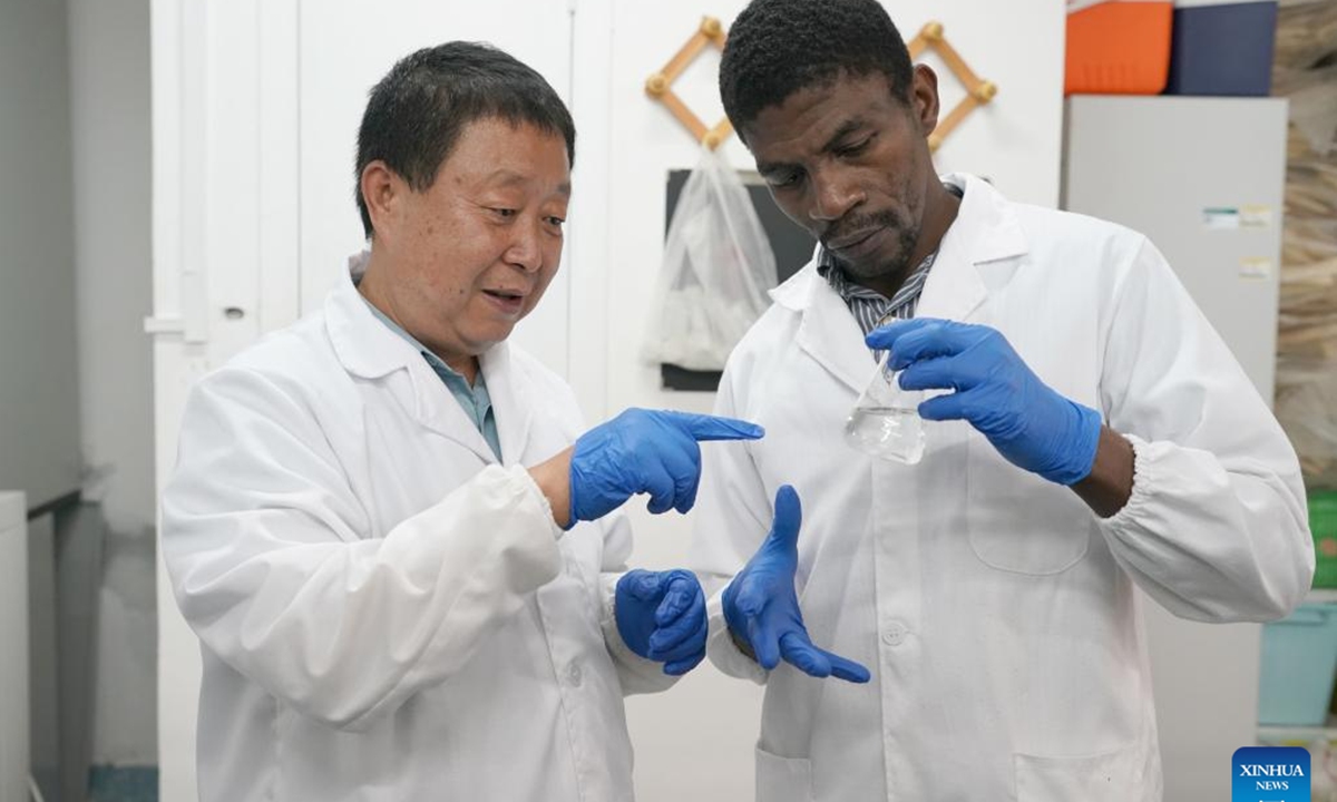 Professor Hai Jiangbo talks with Ngnadong Wansim Aboubakar, a doctoral candidate from Cameroon, at the College of Agronomy, Northwest Agriculture and Forestry University in Yangling, northwest China's Shaanxi Province, Sept. 3, 2024. (Photo: Xinhua)