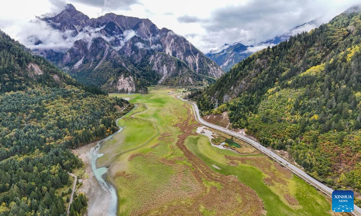 This aerial photo taken on Oct. 12, 2024 shows an autumn view of an alpine wetland in Jiuzhaigou County, southwest China's Sichuan Province. (Photo: Xinhua)