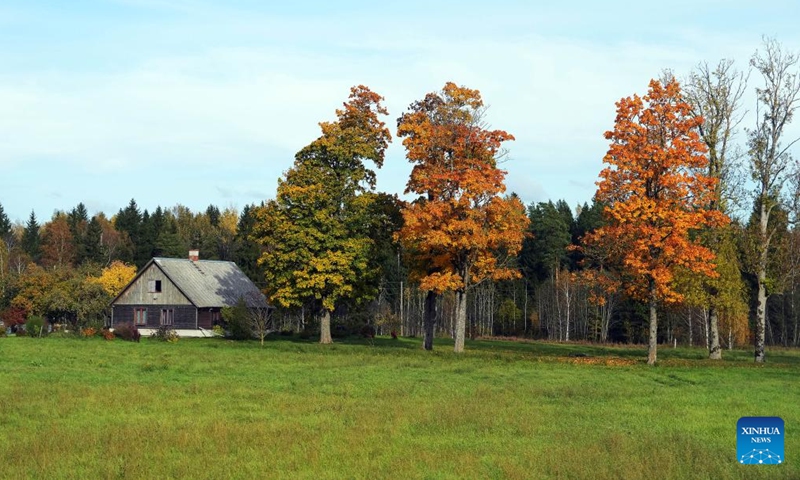 This photo taken on Oct. 13, 2024 shows the autumn scenery in Ogre, Latvia. (Photo: Xinhua)