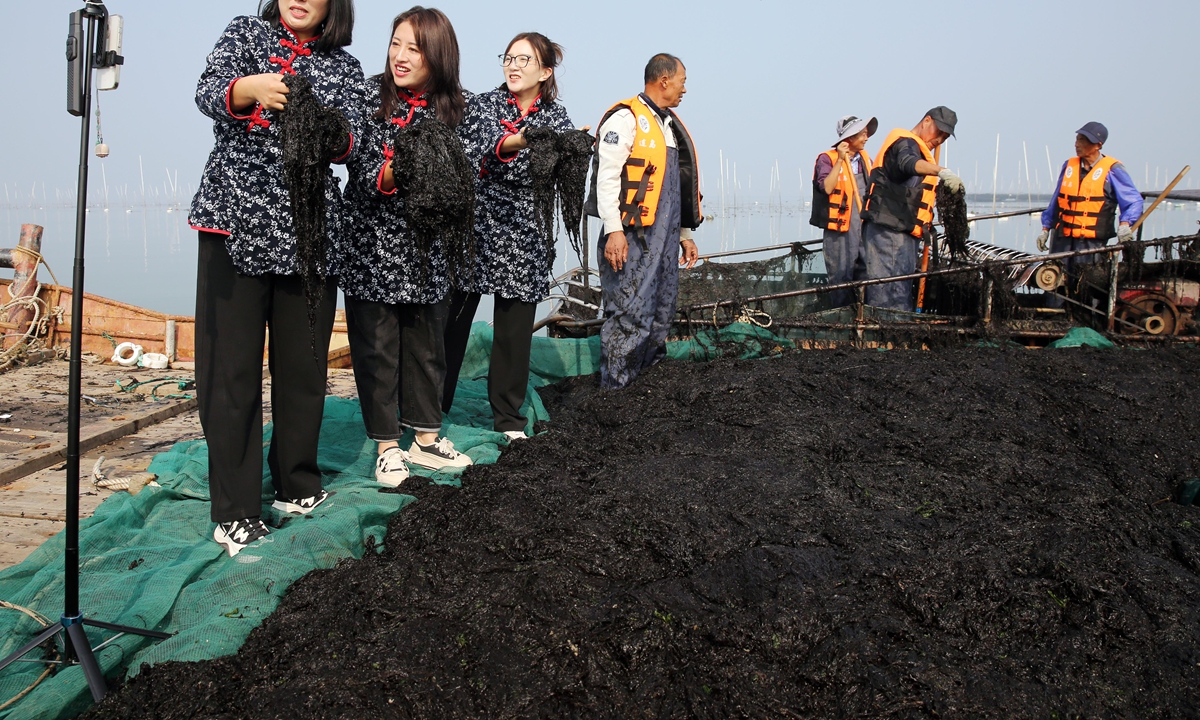 Presenters show fresh seaweed during a live videostream in Lianyungang, East China's Jiangsu Province on October 15, 2024, China has seen new progress in the development of its marine economy, which grew steadily in the first half of the year, with a gross output of 4.9 trillion yuan ($678.55 billion), up 5.6 percent year-on-year, official data showed. Photo: VCG