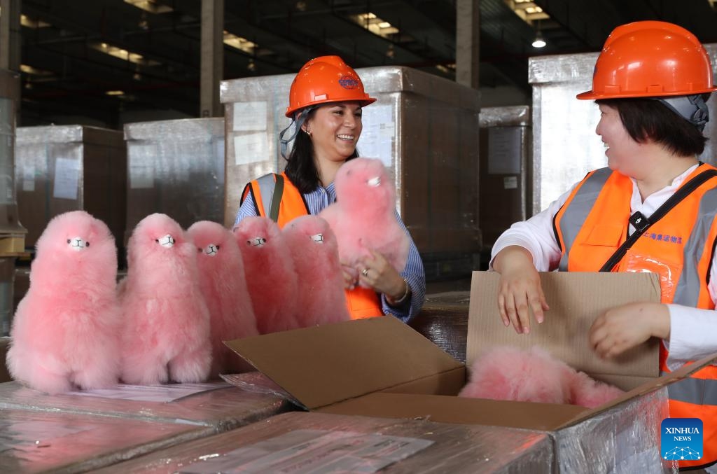 Founders of Warmpaca Ysabel Zea (L) and Ma Yuxia check alpaca products for the seventh China International Import Expo at a warehouse of COSCO Shipping in Shanghai, east China, Oct. 14, 2024. The seventh CIIE is scheduled to be held from Nov. 5 to 10 in Shanghai. (Photo: Xinhua)