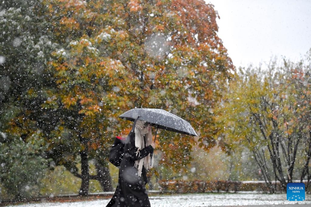 A woman walks with an umbrella during snowfall in Moscow, Russia, on Oct. 14, 2024. (Photo: Xinhua)