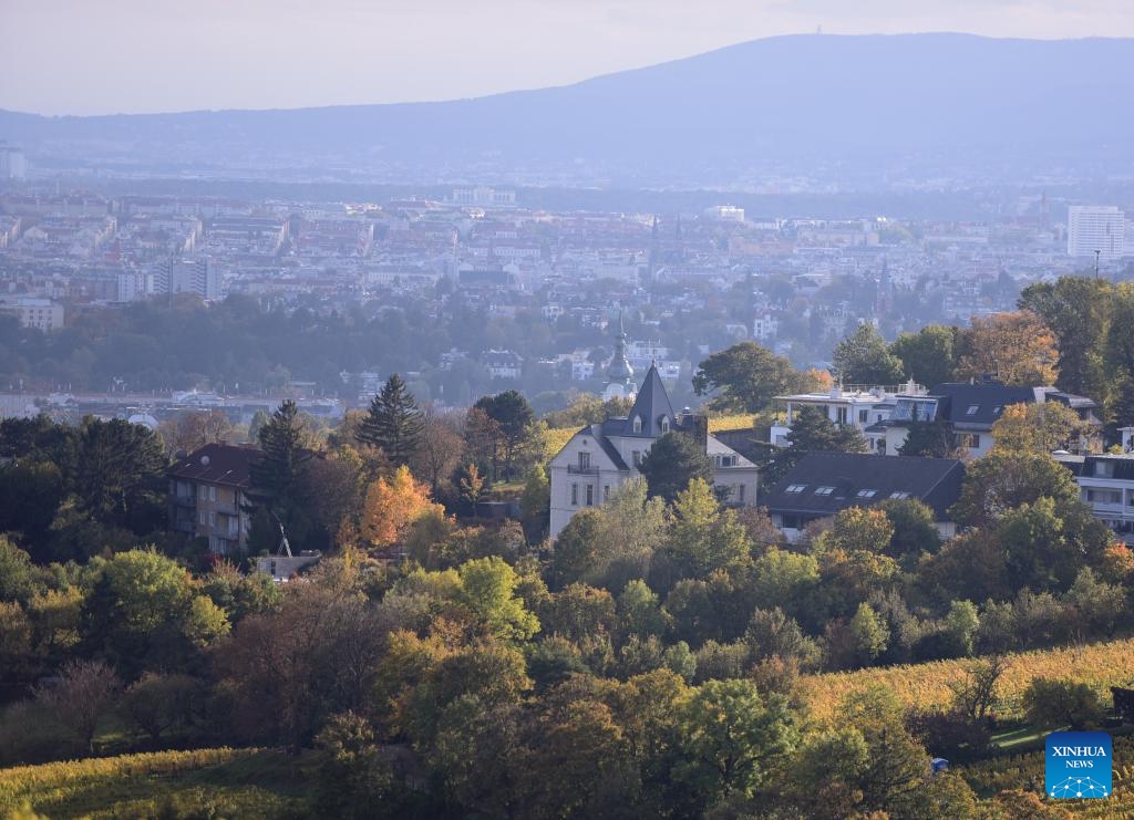 This photo taken on Oct. 15, 2024 shows a view in Vienna, Austria. (Photo: Xinhua)