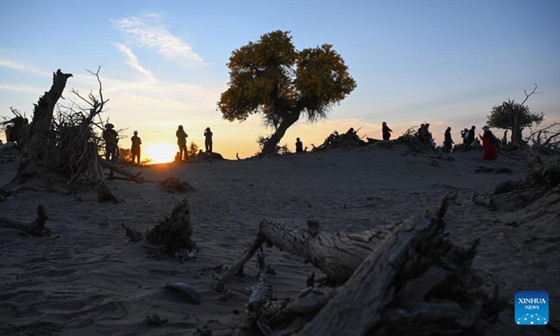 Tourists visit the Strange Forest scenic spot in Ejina Banner of Alxa League, north China's Inner Mongolia Autonomous Region, Oct. 14, 2024. (Photo: Xinhua)