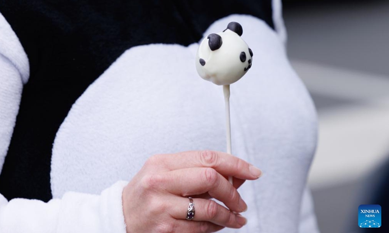 Giant-panda-shaped sweet is given out by a local bakery across the street from the Smithsonian's National Zoo and Conservation Biology Institute as the pandas arrive in Washington, D.C., the United States, Oct. 15, 2024. A pair of giant pandas, Bao Li and Qing Bao, arrived at Washington, D.C. on Tuesday, after an approximately 19-hour trans-Pacific trip from Sichuan Province in southwest China. (Photo: Xinhua)