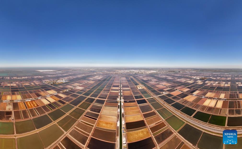 An aerial panoramic photo taken on Oct. 16, 2024 shows a view of the Nanpu salt field in Caofeidian District of Tangshan, north China's Hebei Province (Photo:Xinhua)