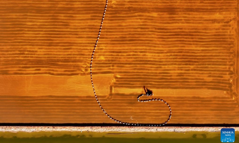 An aerial drone photo taken on Oct. 16, 2024 shows a worker operating a machinery harvesting salt at Nanpu salt field in Caofeidian District of Tangshan, north China's Hebei Province. (Photo:Xinhua)