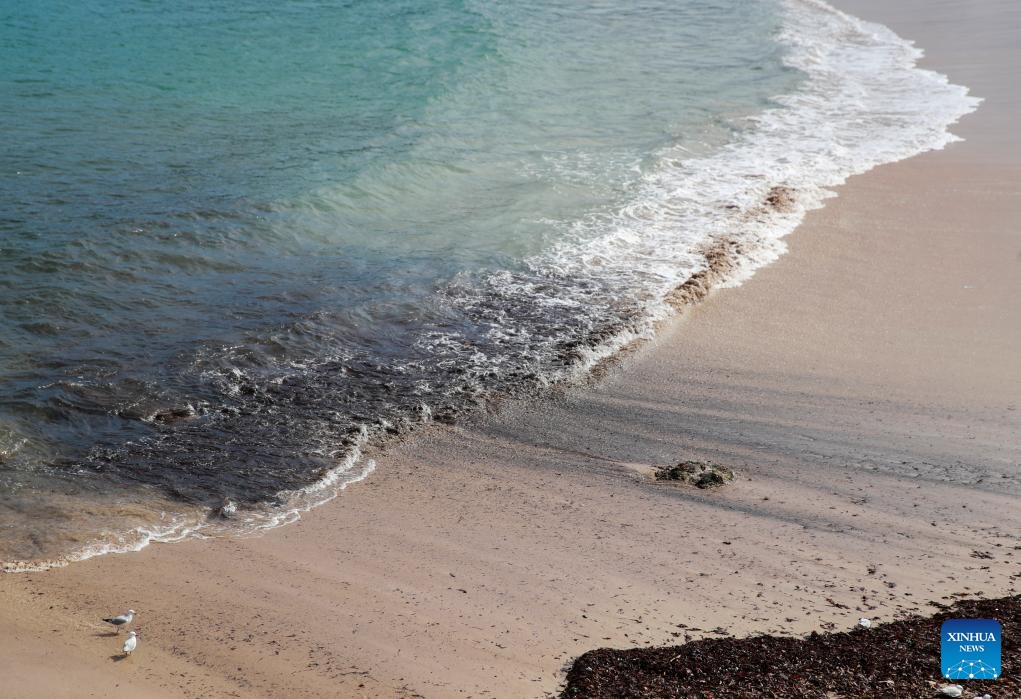 This photo taken on Oct. 16, 2024 shows debris washed ashore on Coogee Beach in Sydney, Australia. The popular beach in Sydney has been closed to the public after mysterious black balls of debris washed ashore. (Photo:Xinhua)