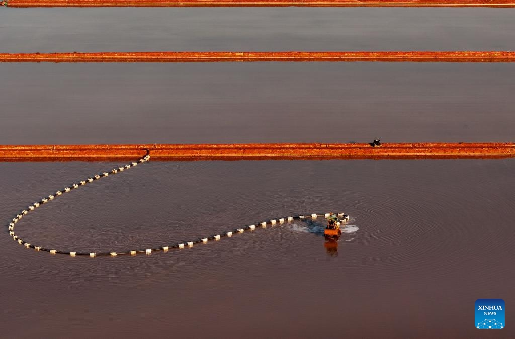 An aerial drone photo taken on Oct. 16, 2024 shows a worker operating a machinery harvesting salt at Nanpu salt field in Caofeidian District of Tangshan, north China's Hebei Province. (Photo:Xinhua)