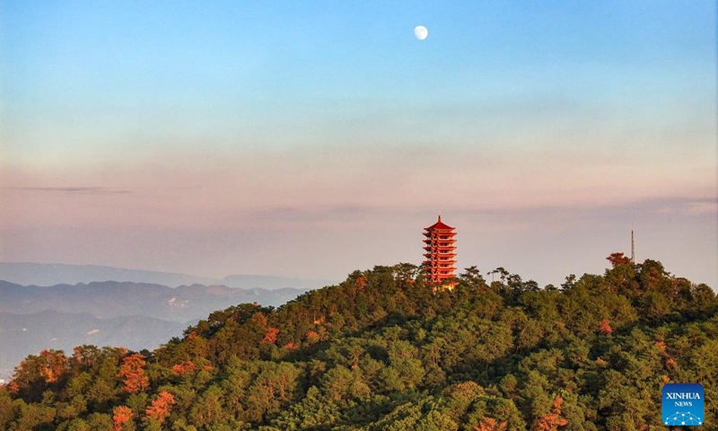 An aerial drone photo taken on Oct. 15, 2024 shows a view of the national nature reserve of Jinyun Mountain in Beibei District, southwest China's Chongqing Municipality. Located by the Jialing River in Chongqing, the national nature reserve of Jinyun Mountain is an important ecological barrier for the downtown area of this municipality city. (Photo:Xinhua)