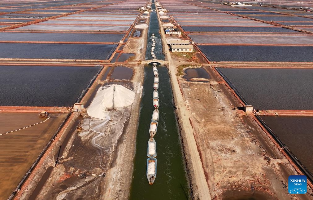 An aerial drone photo taken on Oct. 16, 2024 shows workers transporting harvested salt at Nanpu salt field in Caofeidian District of Tangshan, north China's Hebei Province. (Photo:Xinhua)