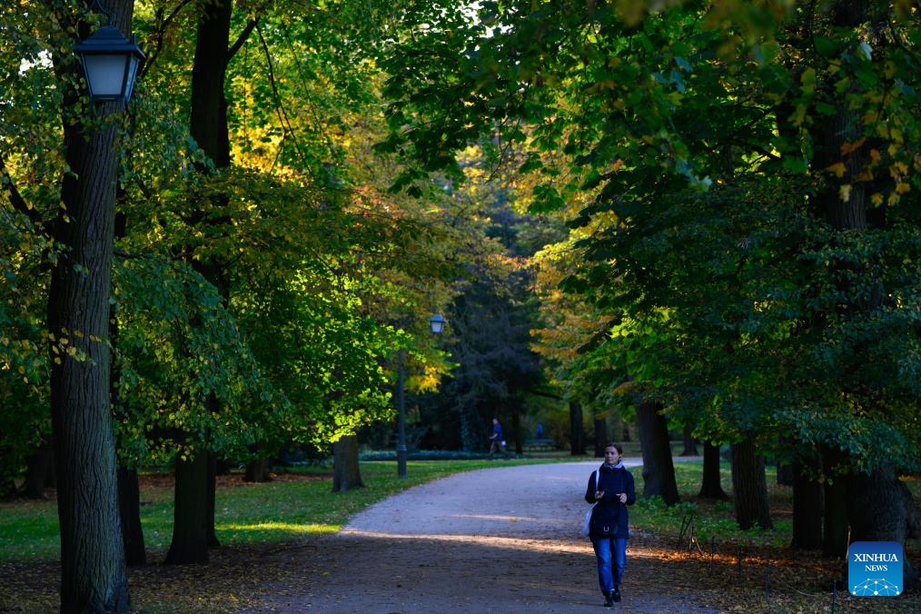 A woman takes a walk at Lazienki Park in Warsaw, Poland, on Oct. 16, 2024. (Photo: Xinhua)