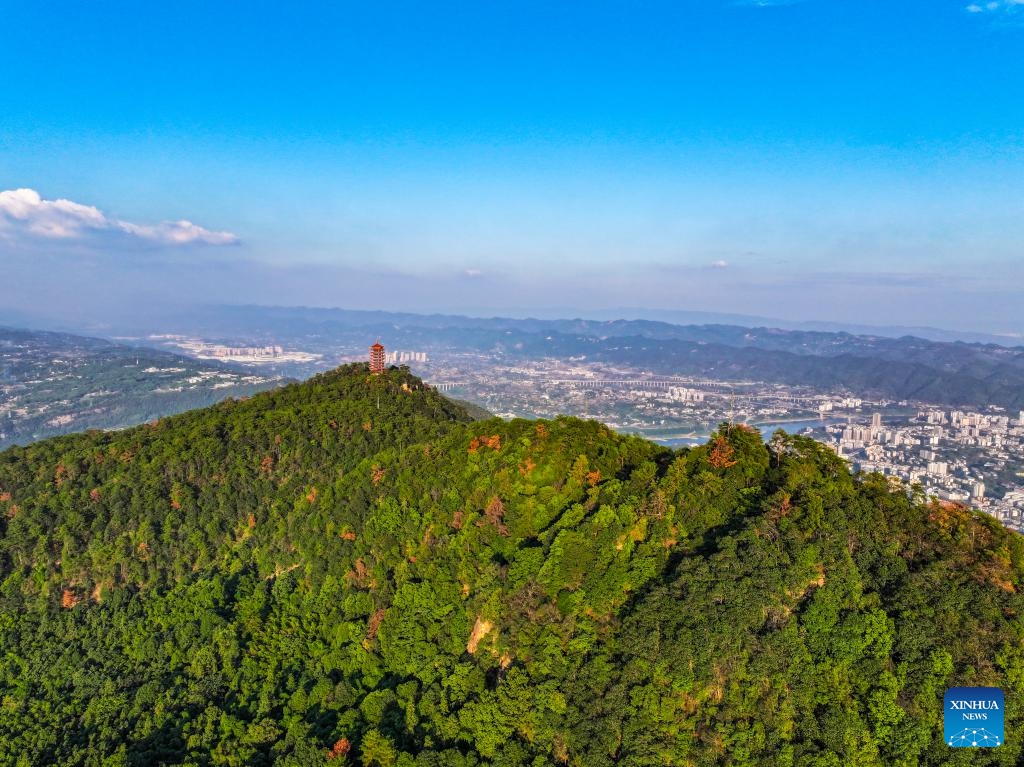 An aerial drone photo taken on Oct. 15, 2024 shows a view of the national nature reserve of Jinyun Mountain in Beibei District, southwest China's Chongqing Municipality. Located by the Jialing River in Chongqing, the national nature reserve of Jinyun Mountain is an important ecological barrier for the downtown area of this municipality city. (Photo:Xinhua)