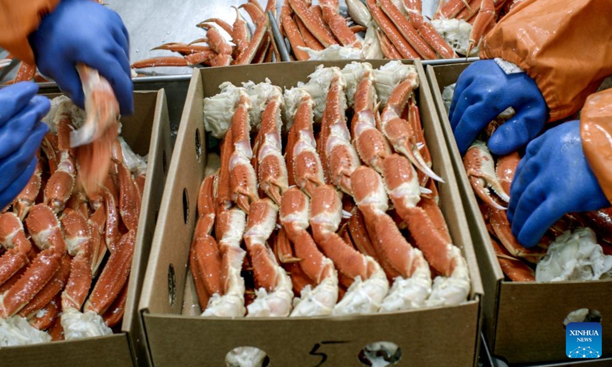 This undated file photo shows workers processing seafood on a production line of Russian Crab group in Russia. Hunchun City of northeast China's Jilin Province has a nickname capital of king crabs among netizens. Every day, trucks fully loaded with fresh seafood imports enter the city via a land checkpoint bordering Russia. The Russian king crab, also known as the Kamchatka crab, is the star product. (Photo: Xinhua)