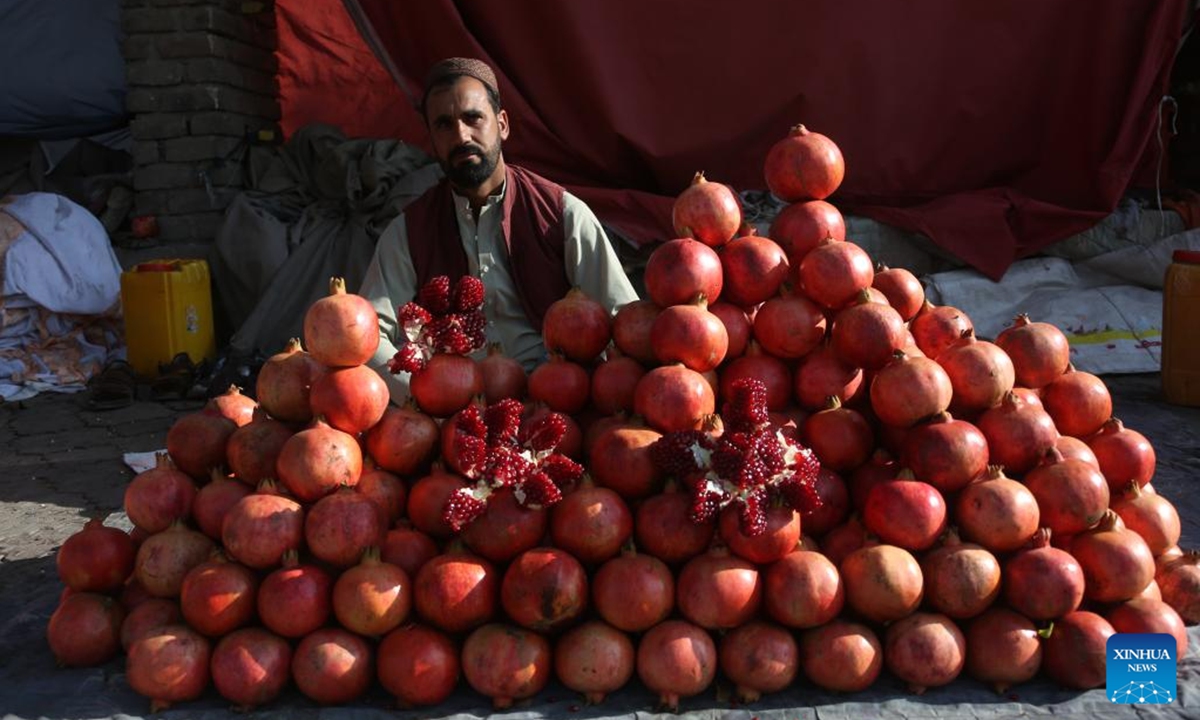 An Afghan vendor sells pomegranates in a fruit market in Kabul, Afghanistan, Oct. 19, 2024. Afghanistan has exported fresh fruits worth 31 million U.S. dollars over the past six months, spokesman for the Ministry of Industry and Commerce Akhundzada Abdul Salam Jawad said Saturday. (Photo: Xinhua)