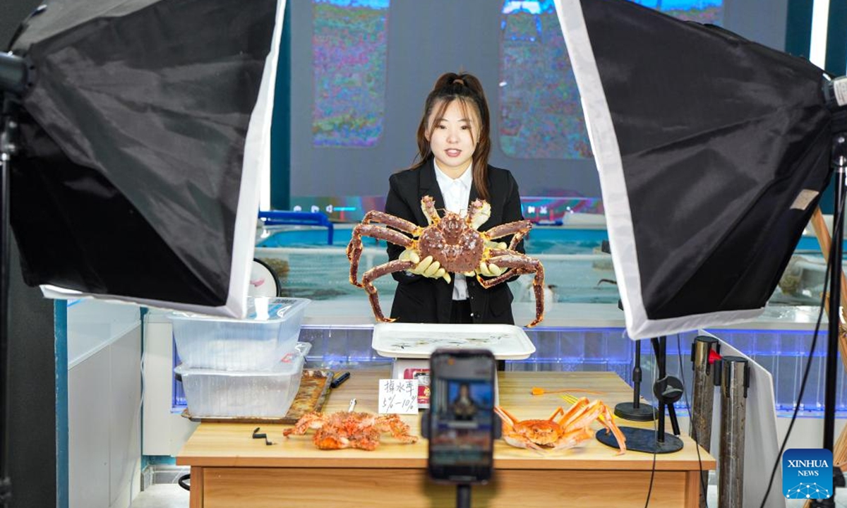 A staff member promotes king crabs via livestreaming at a shop in Hunchun, northeast China's Jilin Province, Sept. 20, 2024. Hunchun City of northeast China's Jilin Province has a nickname capital of king crabs among netizens. Every day, trucks fully loaded with fresh seafood imports enter the city via a land checkpoint bordering Russia. The Russian king crab, also known as the Kamchatka crab, is the star product. (Photo: Xinhua)