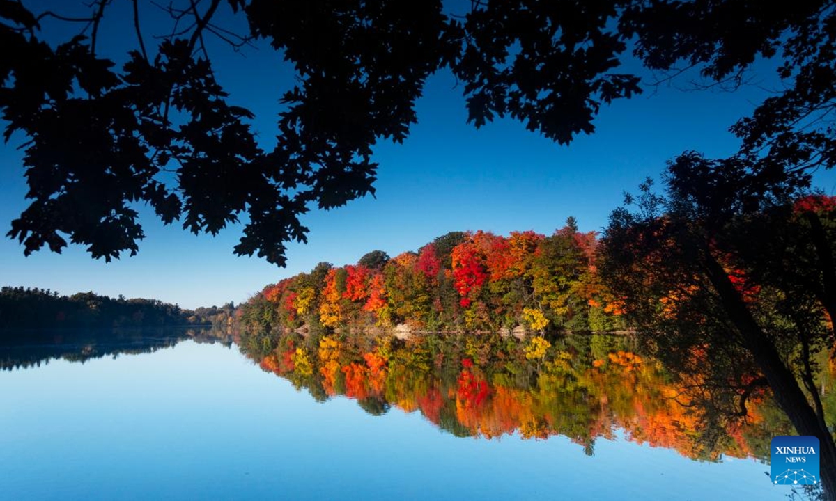 This photo shows the autumn scenery at Bond Lake in Richmond Hill, Ontario, Canada, Oct. 19, 2024.  (Photo: Xinhua)