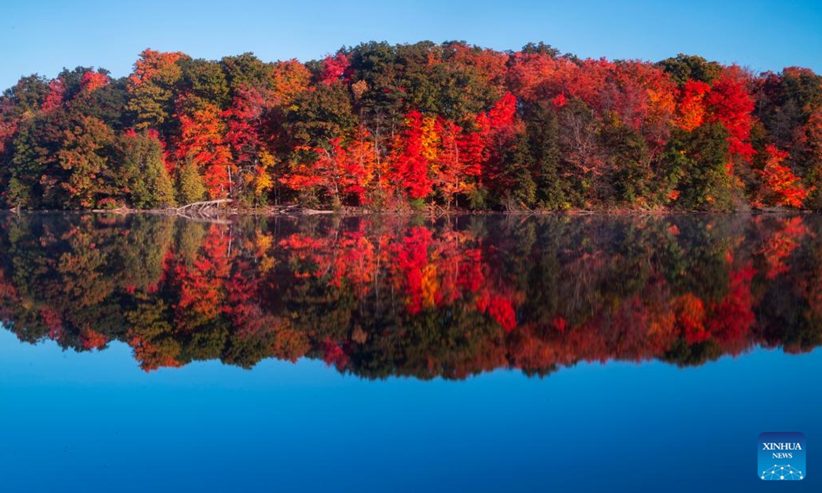 This photo shows the autumn scenery at Bond Lake in Richmond Hill, Ontario, Canada, Oct. 19, 2024.  (Photo: Xinhua)