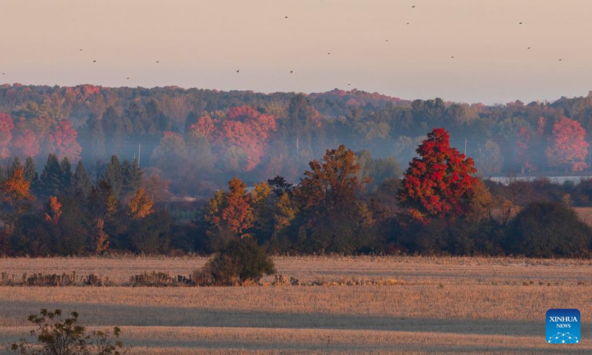 This photo shows the sunrise scenery in Richmond Hill, Ontario, Canada, Oct. 19, 2024.  (Photo: Xinhua)