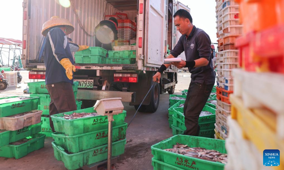 A shop owner weighs fresh seafood for sale at a fishing port in Lingao County, south China's Hainan Province, Oct. 19, 2024. Fishermen here are busy unloading and processing seafood in harvest season. These fresh catches, apart from meeting local demand, will also be marketed nationwide via cold-chain logistics. (Photo: Xinhua)