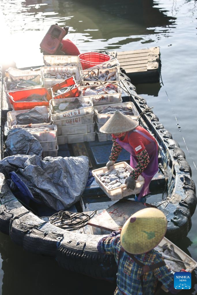 Fishermen move seafood at a fishing port in Lingao County, south China's Hainan Province, Oct. 19, 2024. Fishermen here are busy unloading and processing seafood in harvest season. These fresh catches, apart from meeting local demand, will also be marketed nationwide via cold-chain logistics. (Photo: Xinhua)