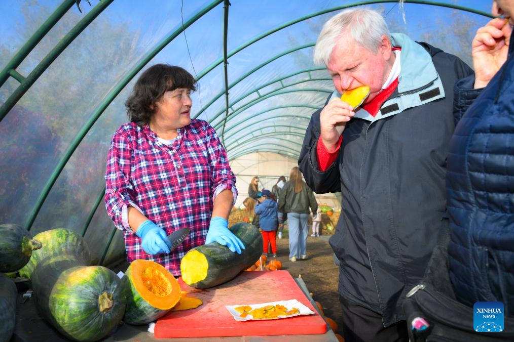 A visitor tastes a slice of pumpkin during a pumpkin festival in Warsaw, Poland on Oct. 20, 2024. (Photo: Xinhua)