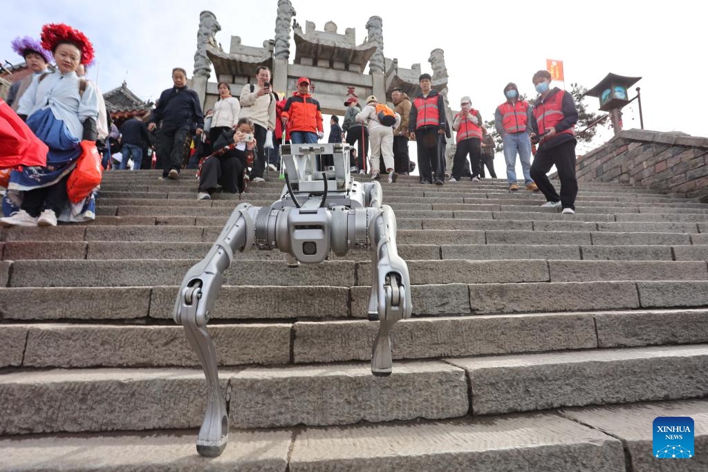 Staff members test a robotic dog that would be deployed to deliver heavy loads including garbage at the Mount Tai scenic area in Tai'an, east China's Shandong Province, Oct. 21, 2024. (Photo: Xinhua)