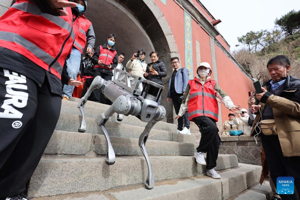 Staff members test a robotic dog that would be deployed to deliver heavy loads including garbage at the Mount Tai scenic area in Tai'an, east China's Shandong Province, Oct. 21, 2024. (Photo: Xinhua)