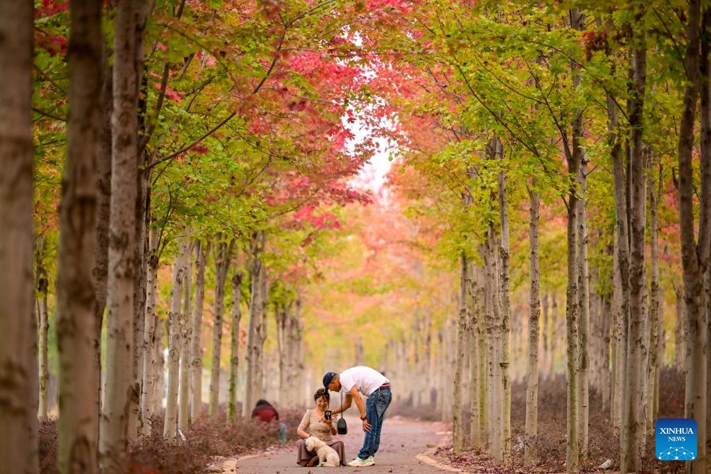 People visit the Binhe Park in Yiyang County, Luoyang City of central China's Henan Province, Oct. 15, 2024. (Photo: Xinhua)