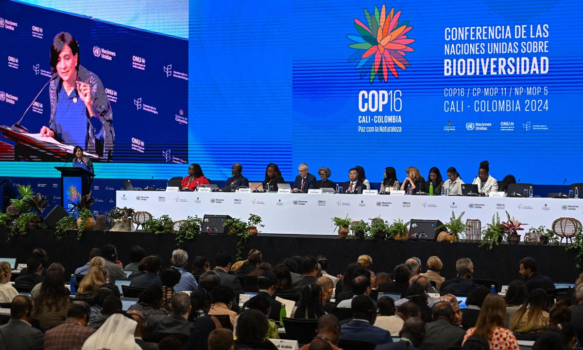 Colombian Environment Minister and COP16 president Susana Muhamad (left) speaks during the opening ceremony of the COP16 summit in Cali, Colombia, on October 21, 2024. The world's biggest nature protection conference opened in Colombia Monday with its president calling for urgent action and financing to reverse humankind's voracious destruction of biodiversity. Photo: VCG