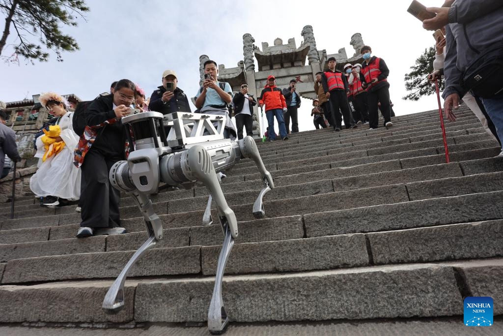 A robotic dog that would be deployed to deliver heavy loads including garbage is in a test run at the Mount Tai scenic area in Tai'an, east China's Shandong Province, Oct. 21, 2024. (Photo: Xinhua)