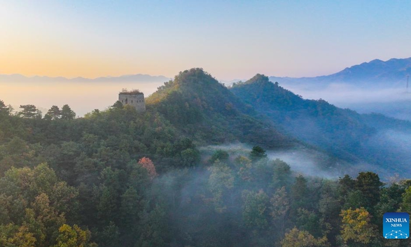 An aerial drone photo taken on Oct. 21, 2024 shows the morning scenery at the ancient Great Wall in Xiaochang Township, Zunhua City of north China's Hebei Province. (Photo: Xinhua)