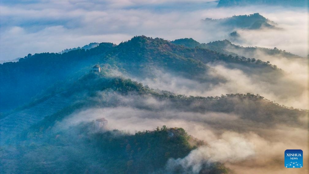 An aerial drone photo taken on Oct. 21, 2024 shows the morning scenery at the ancient Great Wall in Xiaochang Township, Zunhua City of north China's Hebei Province. (Photo: Xinhua)