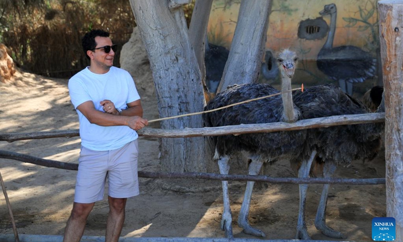 A tourist feeds an ostrich at Africa Safari Park in Alexandria, Egypt, Oct. 21, 2024. Africa Safari Park is the first safari park in Egypt that provides tourists the chance to observe freely roaming animals. (Photo: Xinhua)