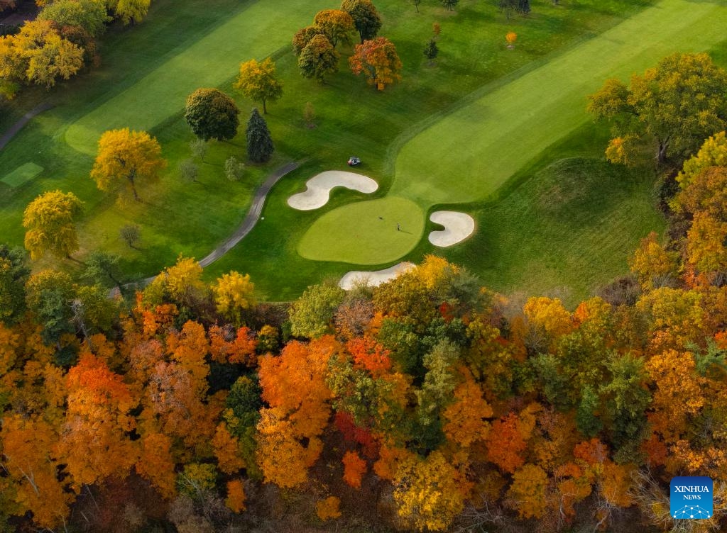 An aerial drone photo shows a golf course in autumn in Mississauga, the Greater Toronto Area, Canada, on Oct. 23, 2024. Some outdoor courts located among the trees are decorated with autumn colors here in October. (Photo: Xinhua)