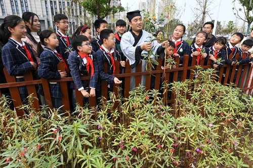 Primary school students listen to medical staff dressed in traditional Chinese clothing introduce herbal medicines in Fuyang, East China's Anhui Province, on October 22, 2024. Photo: VCG 