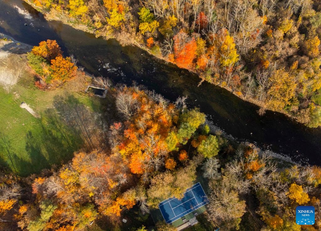 An aerial drone photo shows a tennis court in autumn in Mississauga, the Greater Toronto Area, Canada, on Oct. 23, 2024. Some outdoor courts located among the trees are decorated with autumn colors here in October. (Photo: Xinhua)