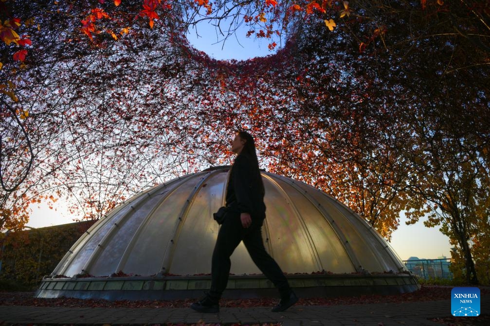 A visitors walks in the rooftop garden of the Warsaw University Library in Warsaw, Poland, on Oct. 22, 2024. The rooftop garden of the Warsaw University Library is one of the largest roof gardens in Europe and a popular spot to see city views. (Photo: Xinhua)