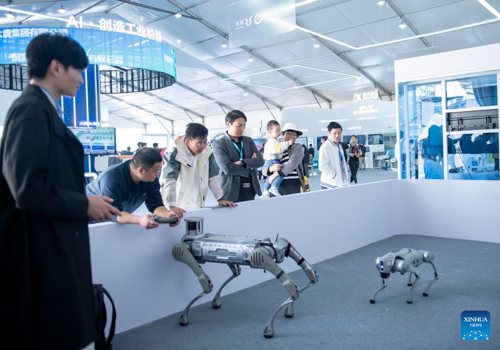 Visitors look at robotic dogs at the 7th World Voice Expo in Hefei, east China's Anhui Province, Oct. 24, 2024. The 7th World Voice Expo and the iFlytek 1024 Global Developer Festival kicked off here on Thursday. The latest achievements and application of AI technology will be on display at the four-day event. (Photo: Xinhua)